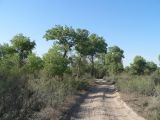 Полвонтугай, image of landscape/habitat.