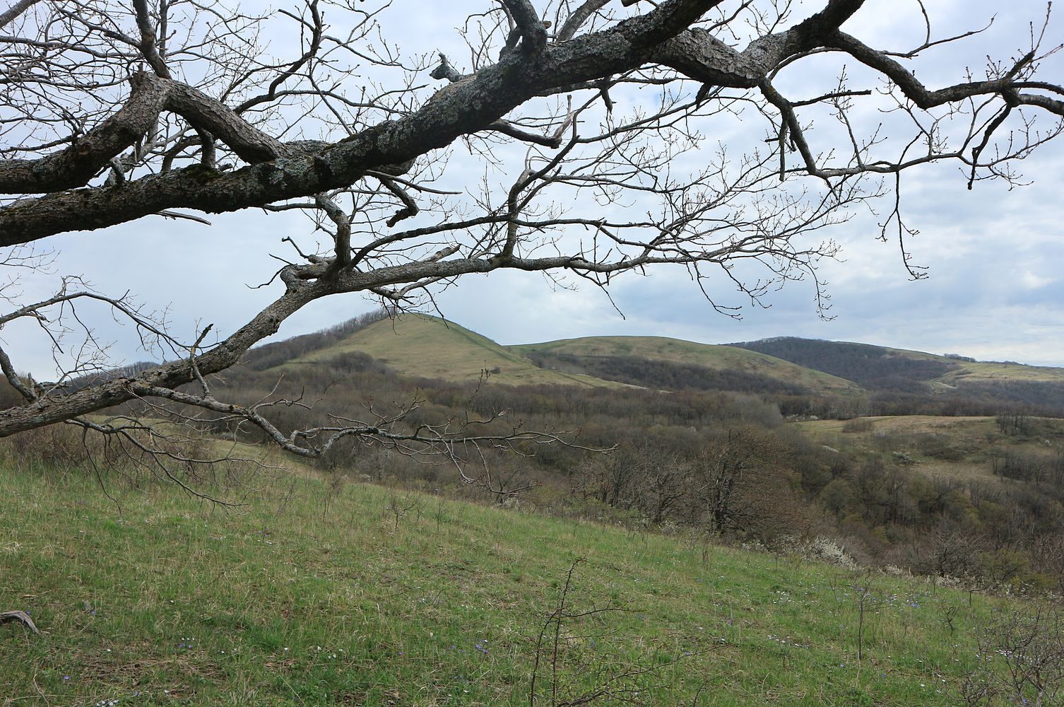 Гора Чубатая, изображение ландшафта.