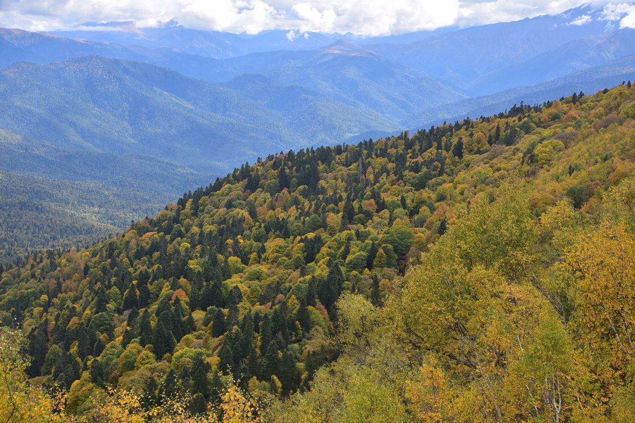 Окрестности ретранслятора, image of landscape/habitat.