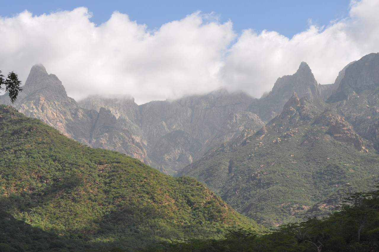 Вади Айхафт, image of landscape/habitat.