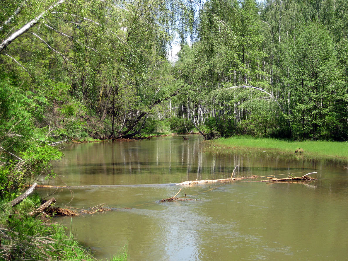 Лебедёвка, изображение ландшафта.