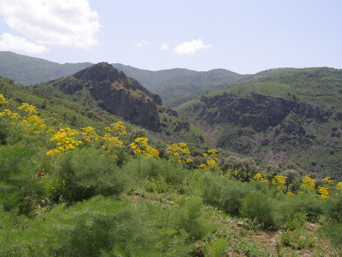 Ходжикент, image of landscape/habitat.