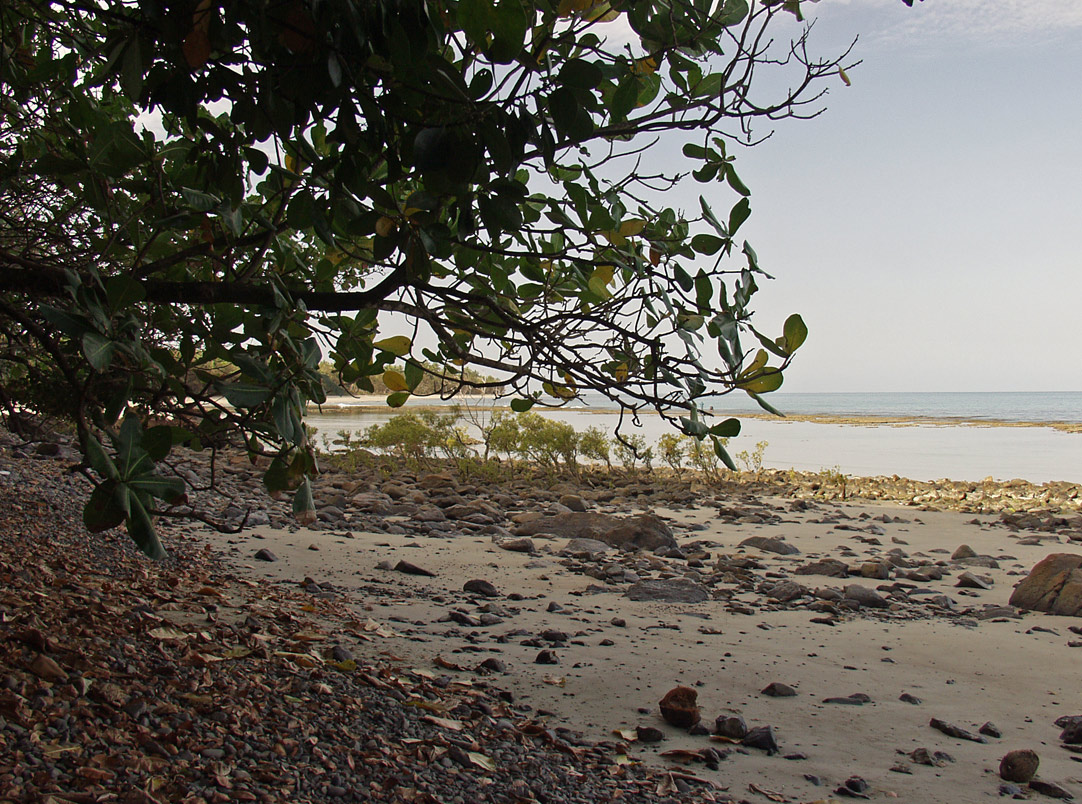 Cape Tribulation, изображение ландшафта.