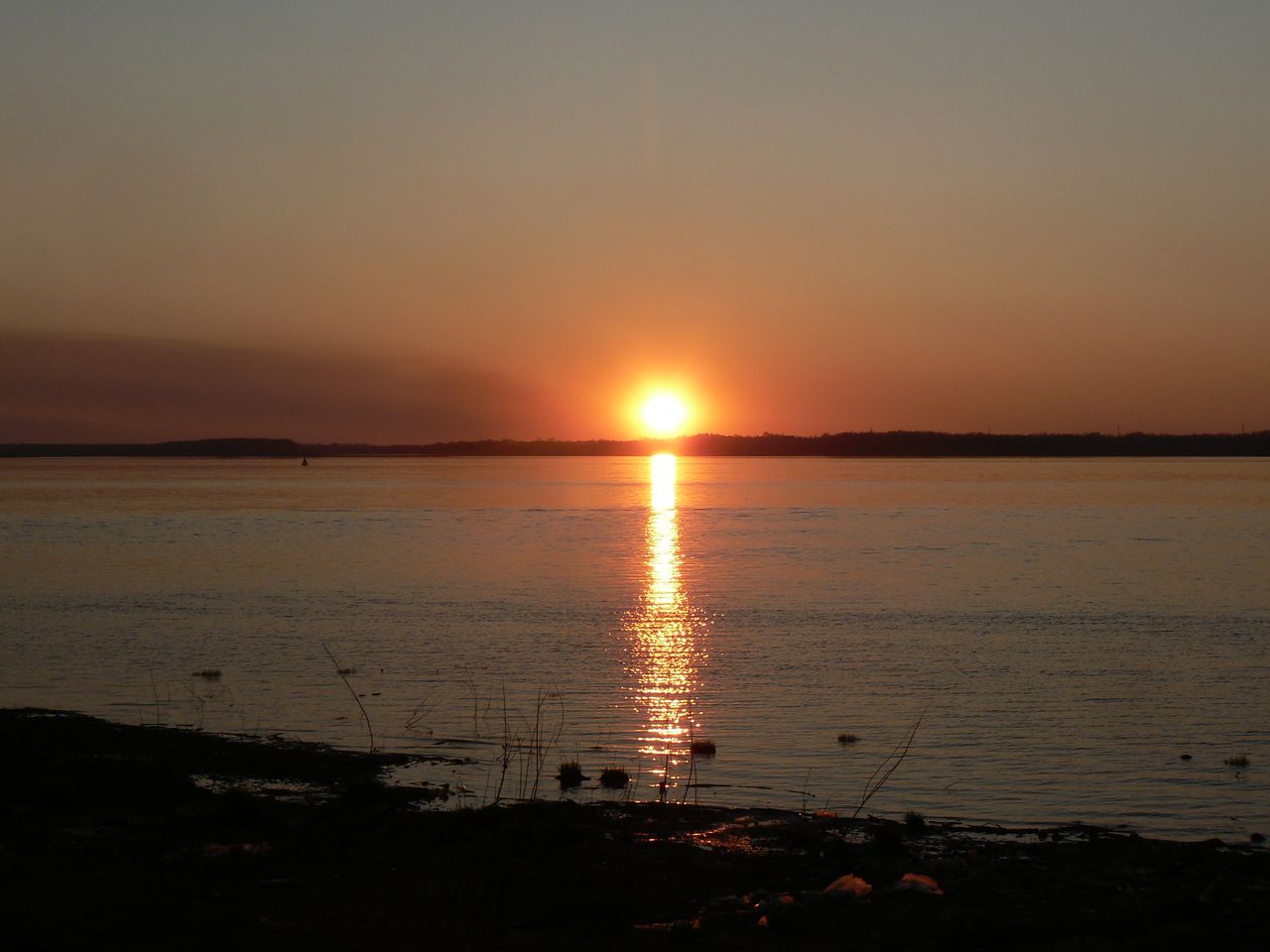 Большой Уссурийский остров, image of landscape/habitat.