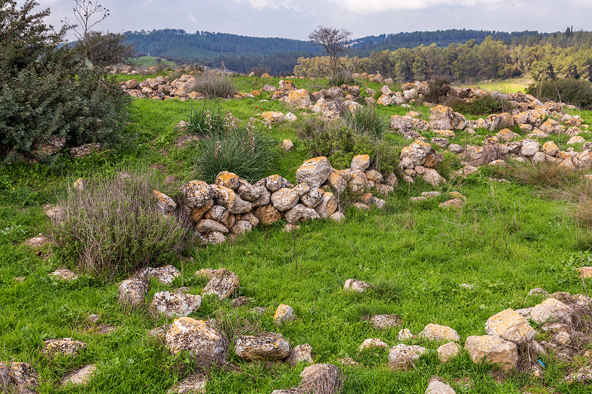 Мареша, image of landscape/habitat.