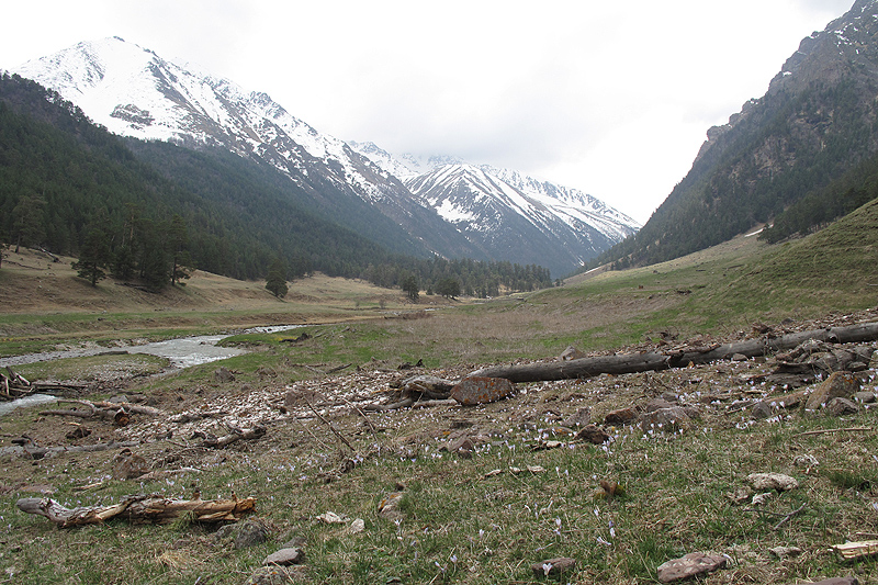 Красный-Карачай, image of landscape/habitat.