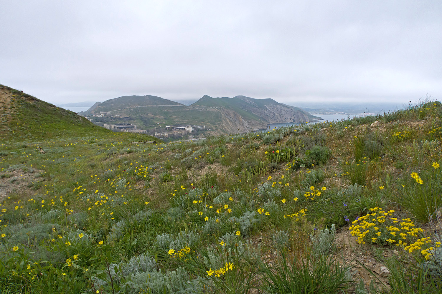 Гора Батон, image of landscape/habitat.