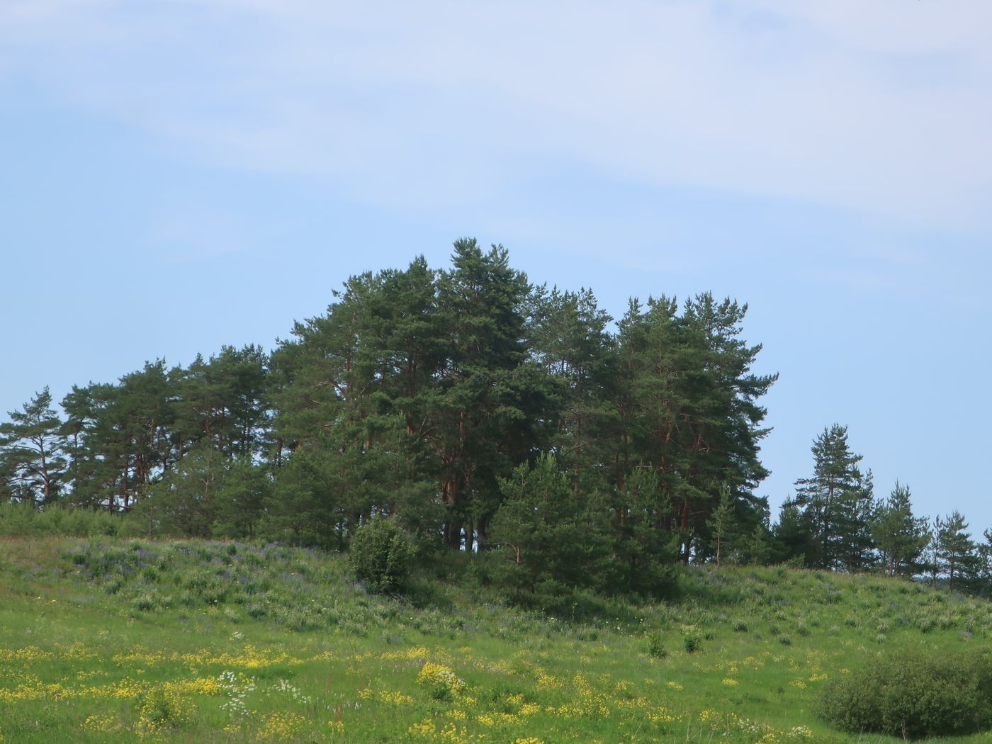 Дуденёвский заказник и р. Тьма, image of landscape/habitat.