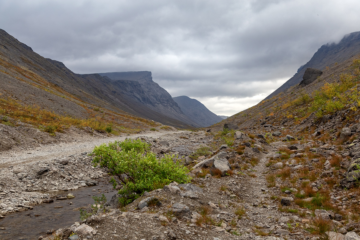 Долина Кукисвум, image of landscape/habitat.