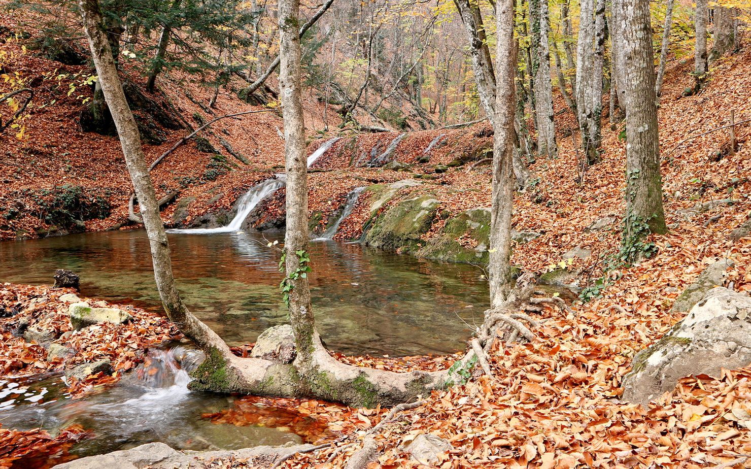 Хапхальское ущелье, изображение ландшафта.