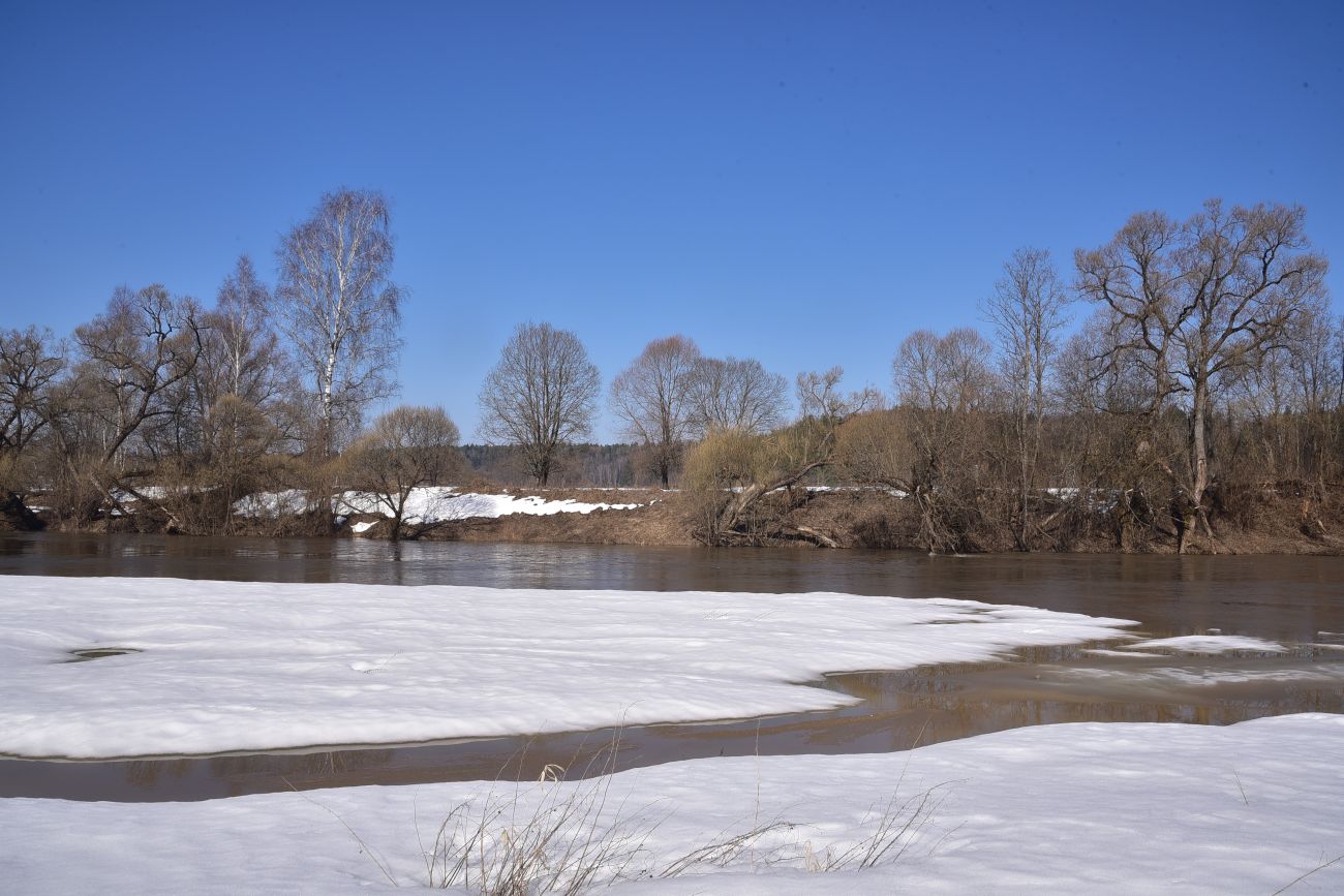 Устье ручья Чёлоховский, image of landscape/habitat.
