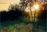 Окрестности Хрипани, image of landscape/habitat.