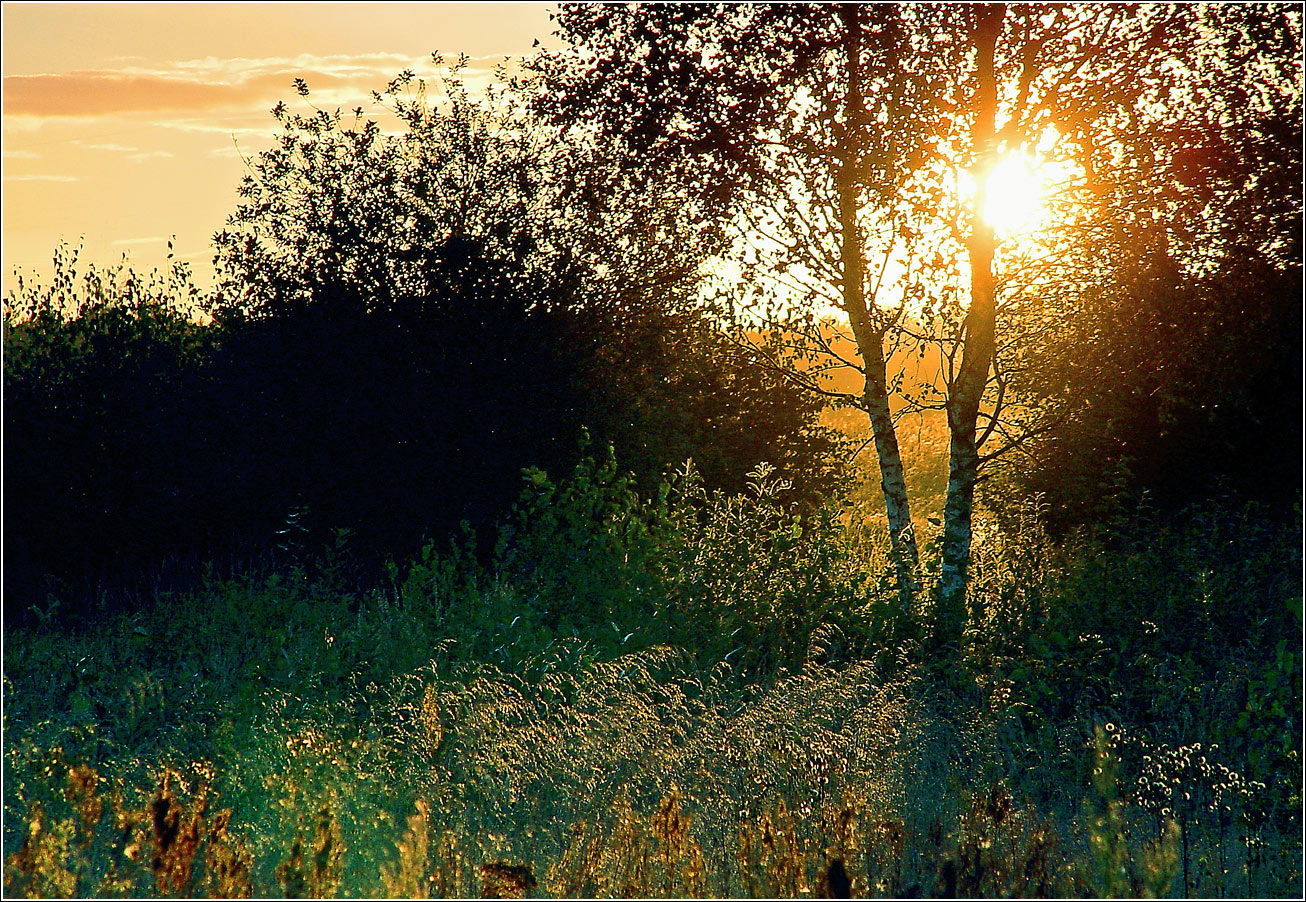 Окрестности Хрипани, image of landscape/habitat.