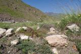 Image of landscape