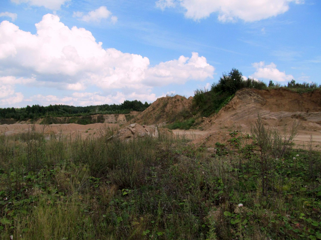 Песчаный карьер "Рутковское", image of landscape/habitat.