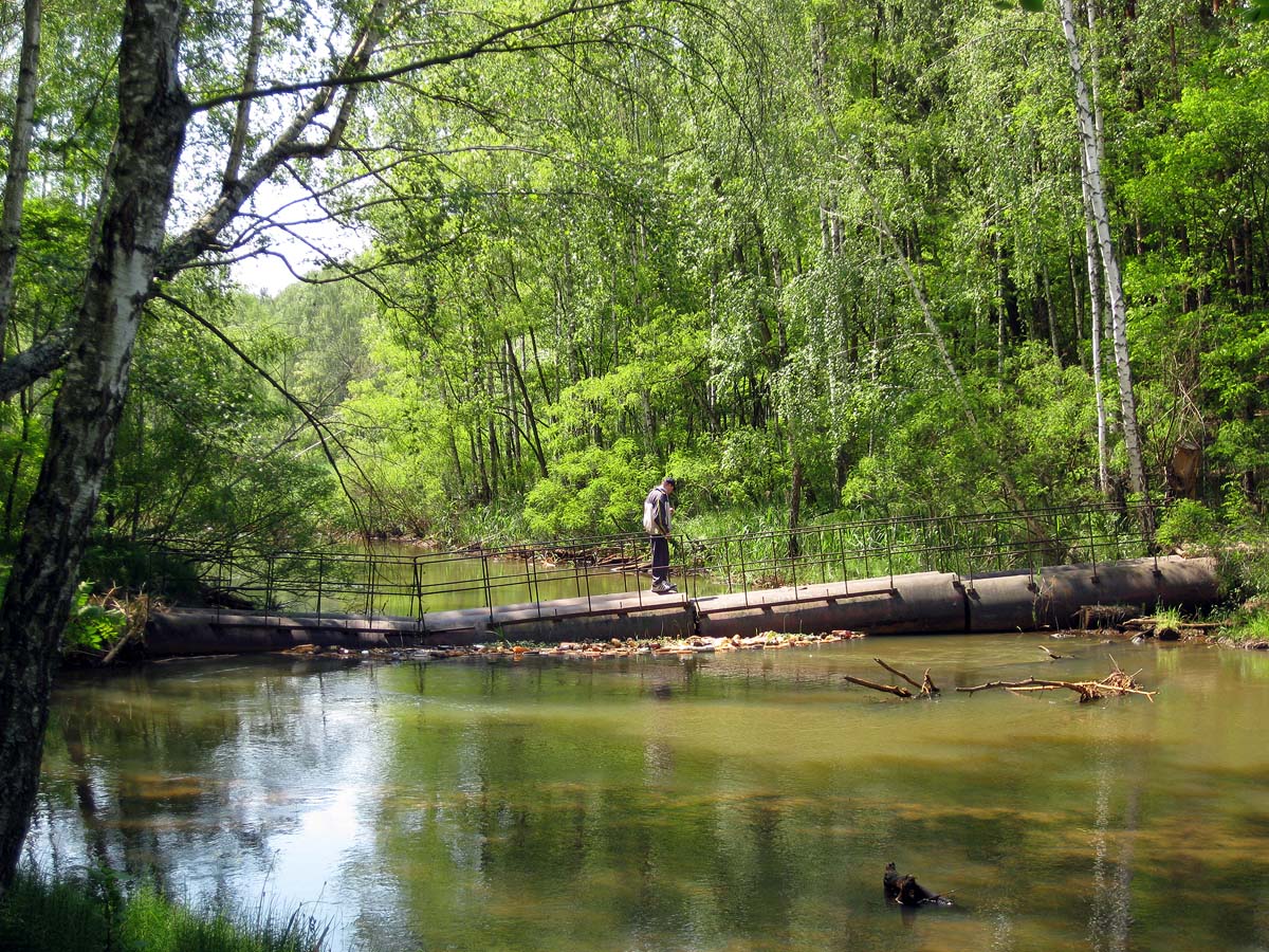 Лебедёвка, image of landscape/habitat.