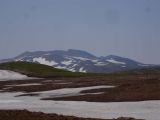 Горелинский дол, image of landscape/habitat.