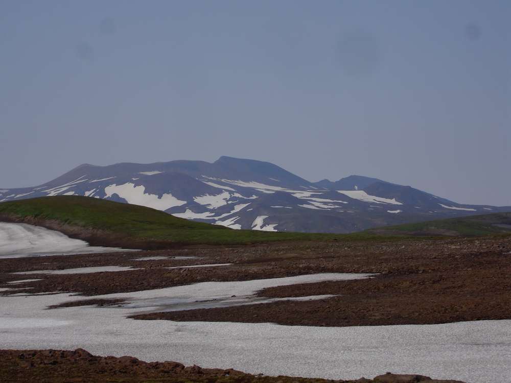 Горелинский дол, image of landscape/habitat.