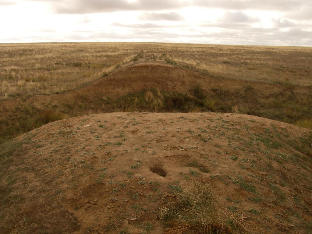 Зимовка Таскора, image of landscape/habitat.