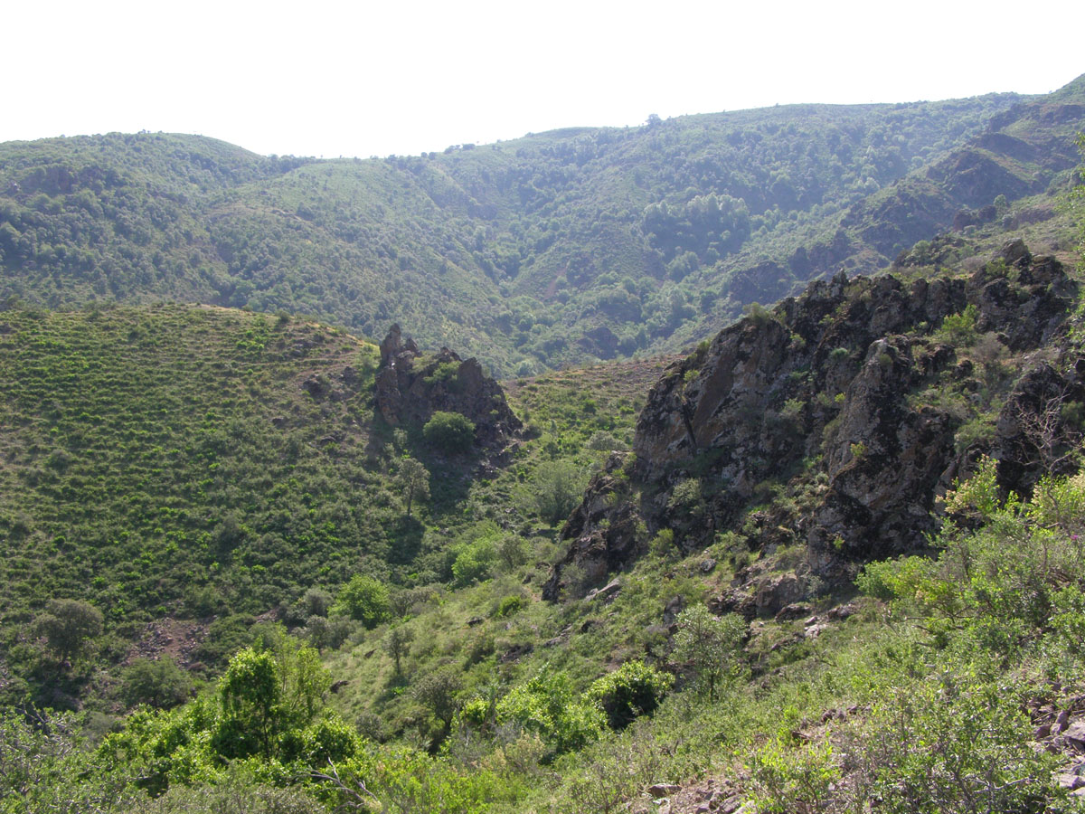 Ходжикент, image of landscape/habitat.