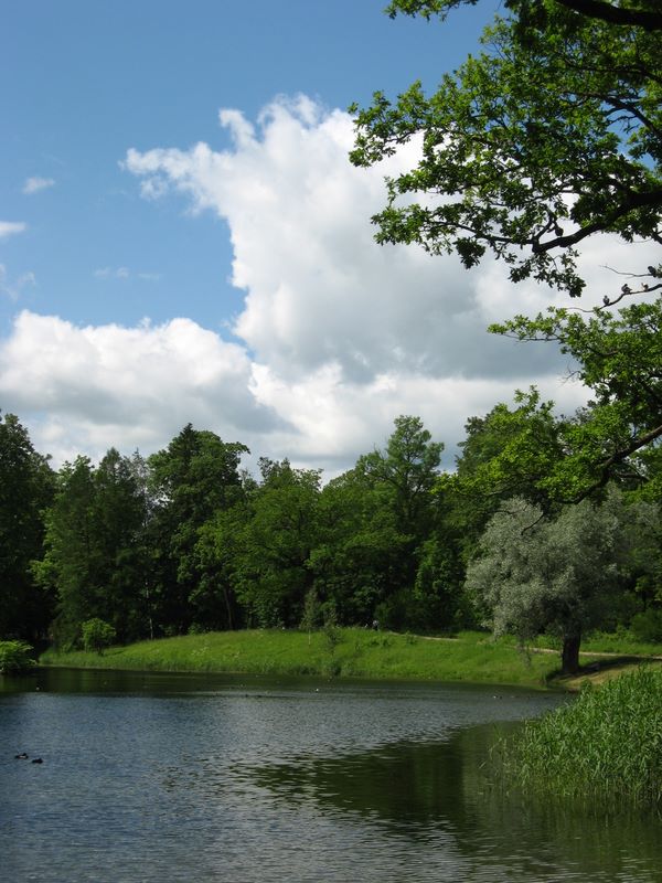 Город Пушкин, image of landscape/habitat.