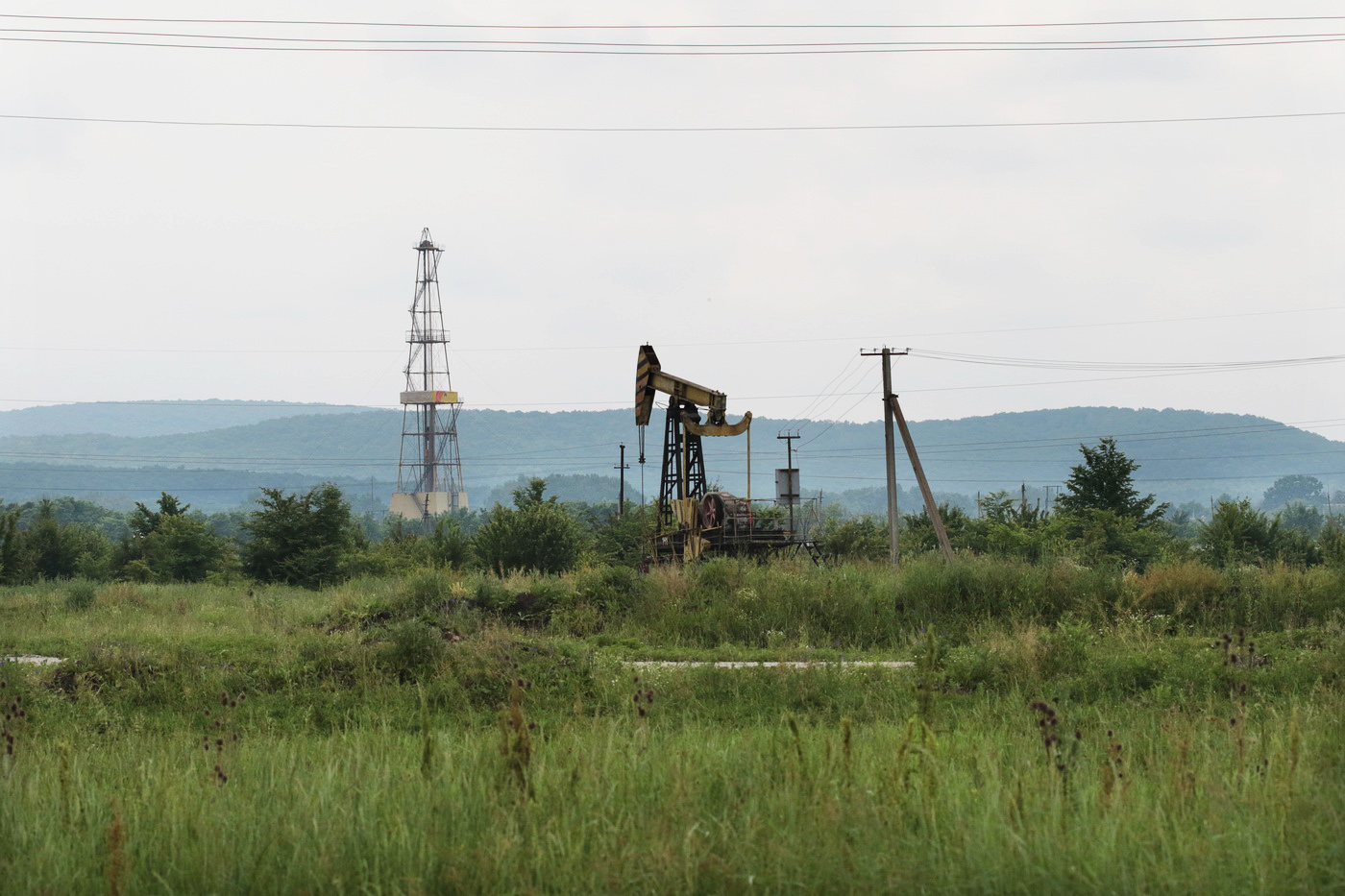 Близ хутора Новоукраинский, image of landscape/habitat.