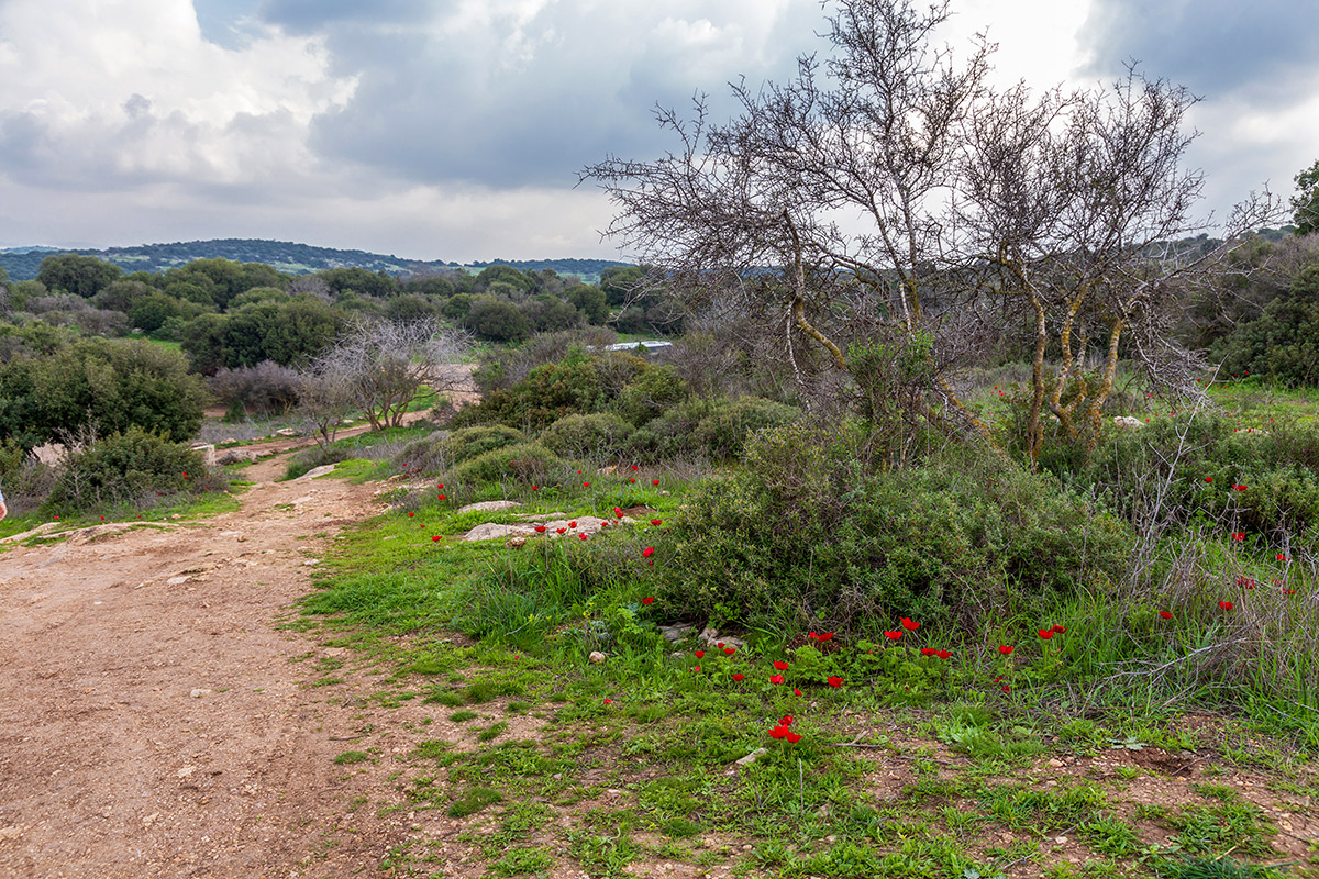 Мареша, image of landscape/habitat.