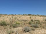 Image of landscape