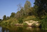 Image of landscape