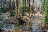 Окрестности Хрипани, изображение ландшафта.