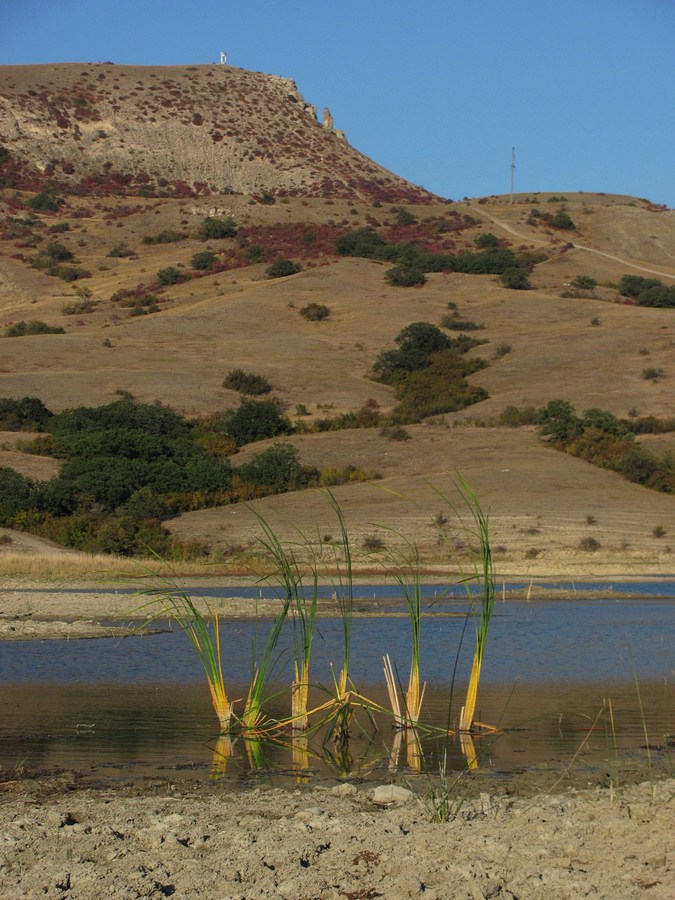 Армутлук, image of landscape/habitat.