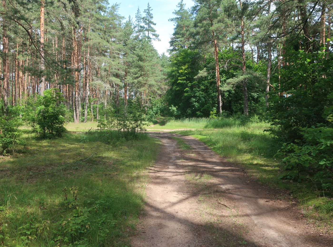 Дуденёвский заказник и р. Тьма, image of landscape/habitat.