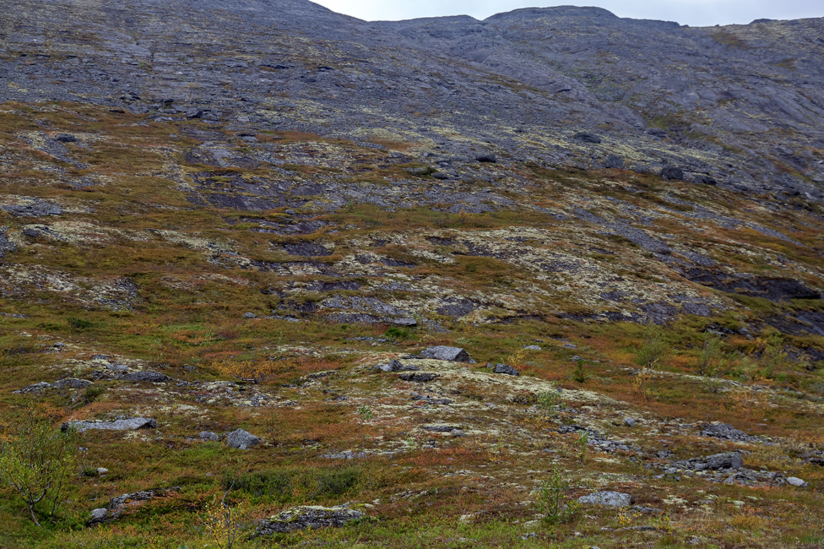 Долина Кукисвум, image of landscape/habitat.