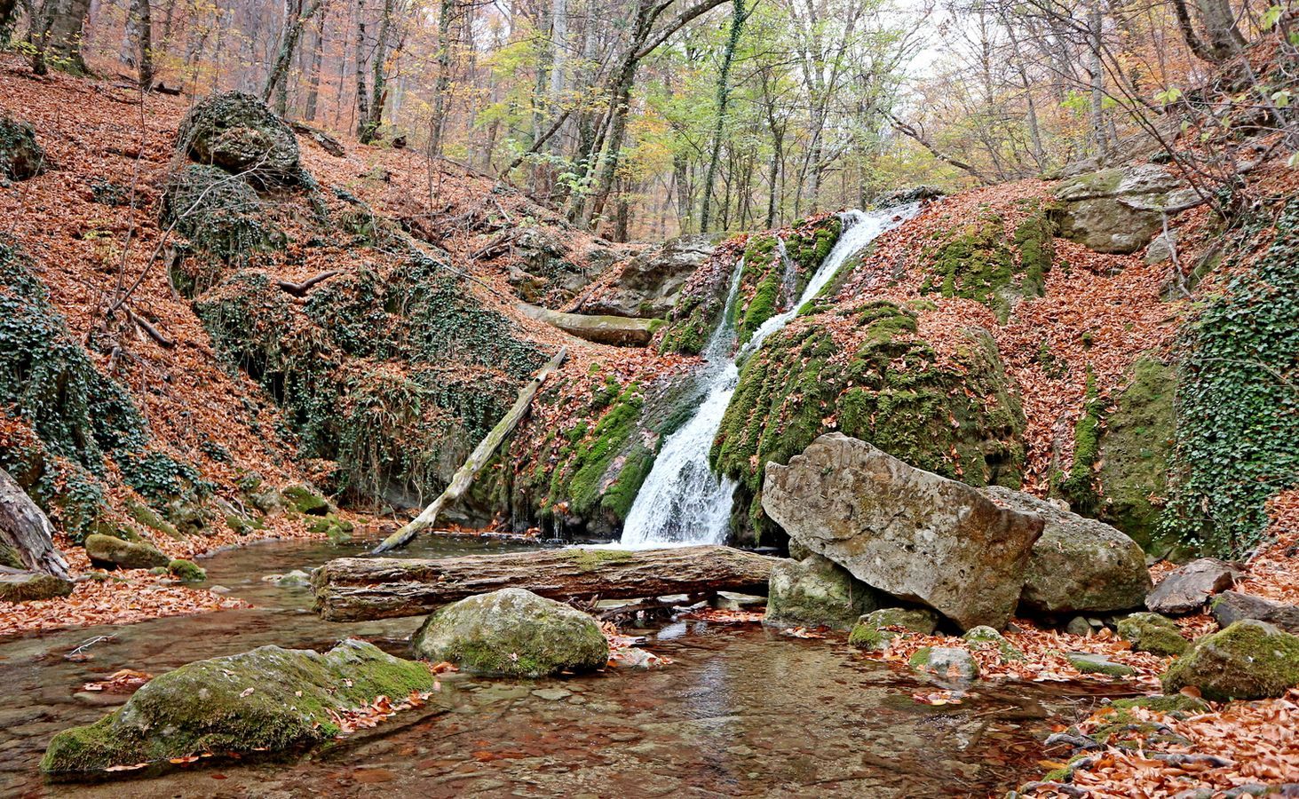 Хапхальское ущелье, изображение ландшафта.