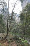 Image of landscape
