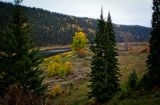 Кын и его окрестности, image of landscape/habitat.