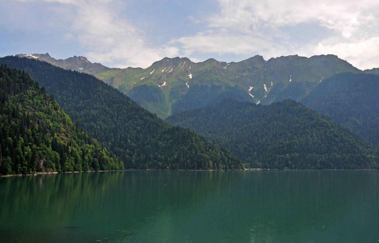 Северный берег озера Рица, image of landscape/habitat.