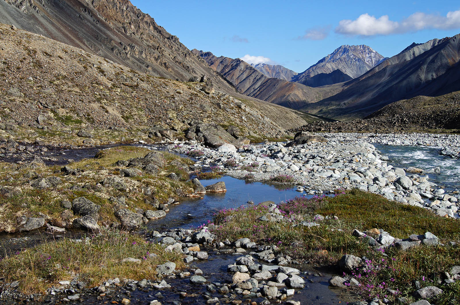 Верховья реки Джапкачан, image of landscape/habitat.