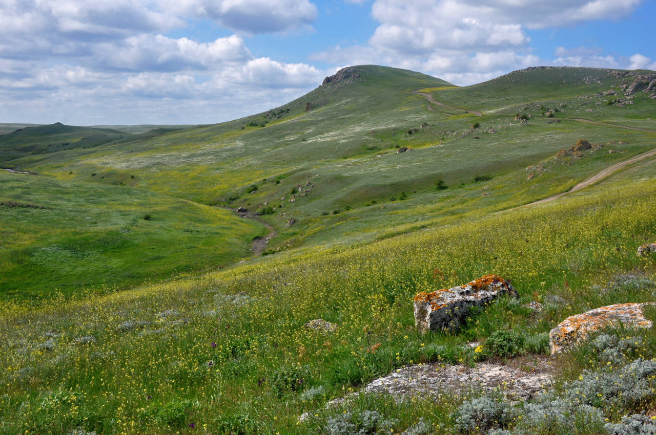 Долина реки Сююрташ, image of landscape/habitat.