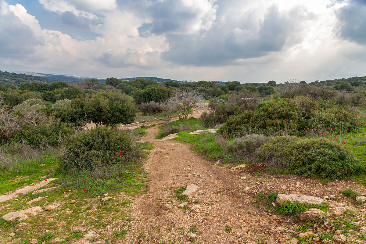 Мареша, image of landscape/habitat.