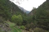 Image of landscape