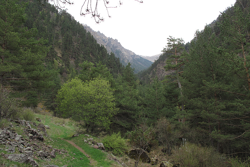 Красный-Карачай, image of landscape/habitat.
