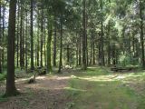 Image of landscape