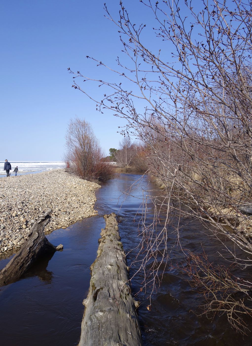 Омулёвый, image of landscape/habitat.