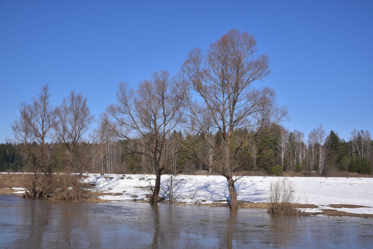 Устье ручья Чёлоховский, image of landscape/habitat.