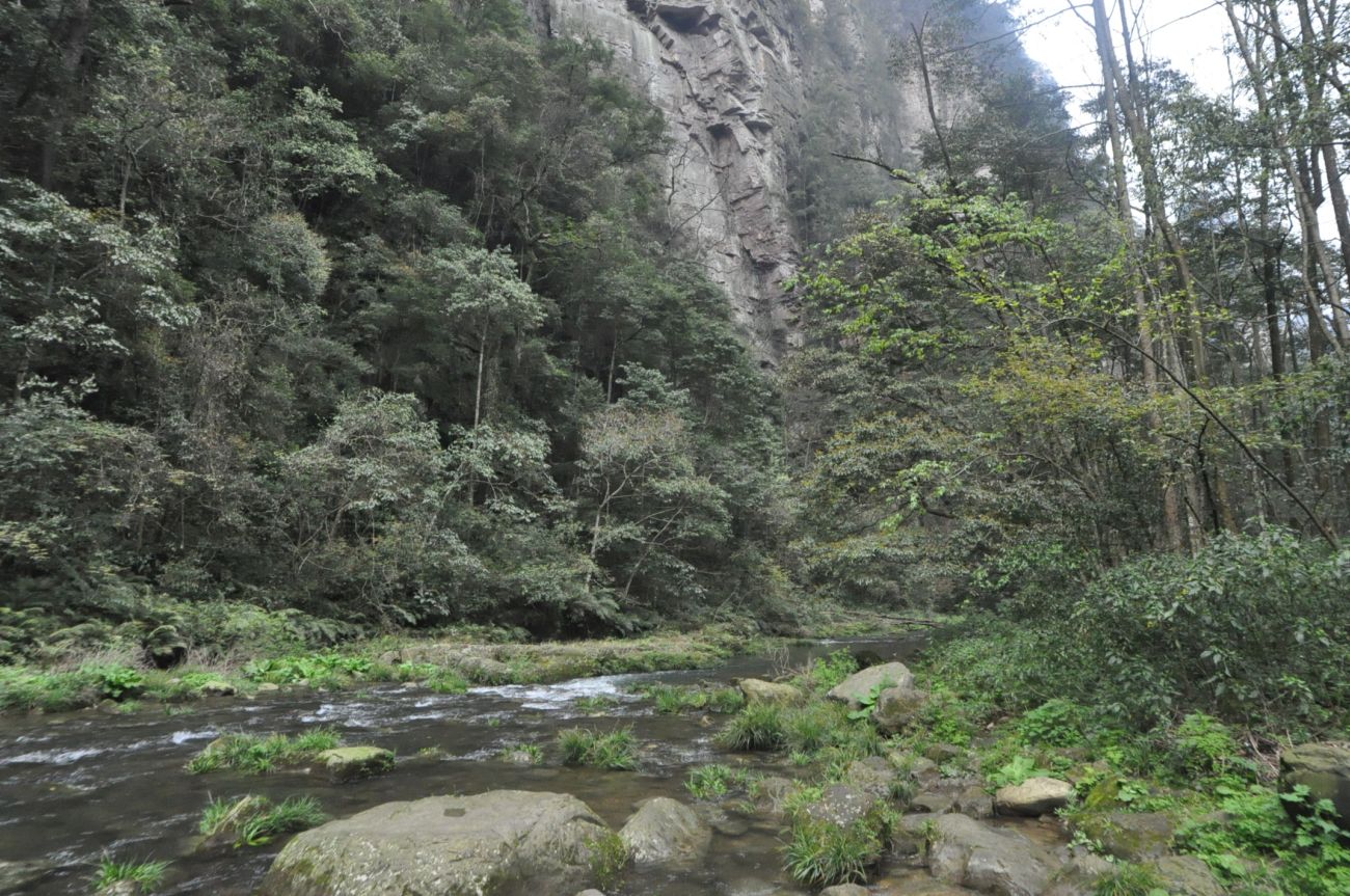Долина ручья Золотой Кнут, image of landscape/habitat.