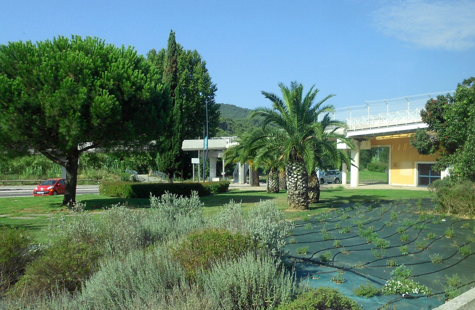 Йер, image of landscape/habitat.