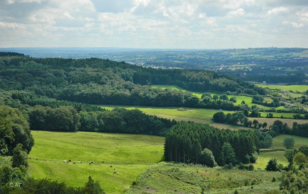 Валсенберг, image of landscape/habitat.