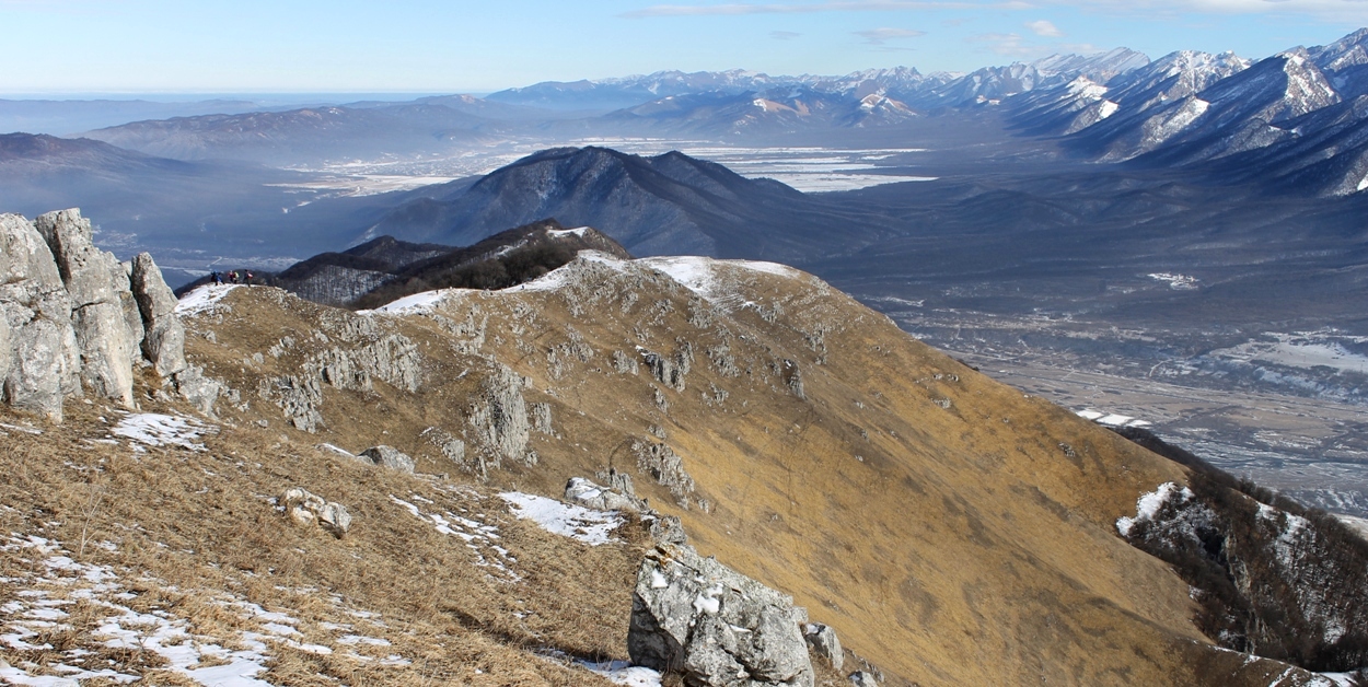 Тарская котловина, image of landscape/habitat.