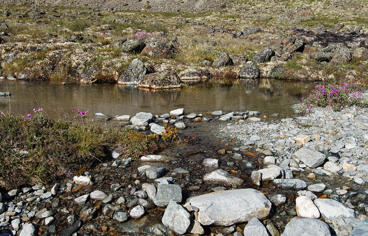 Верховья реки Джапкачан, image of landscape/habitat.